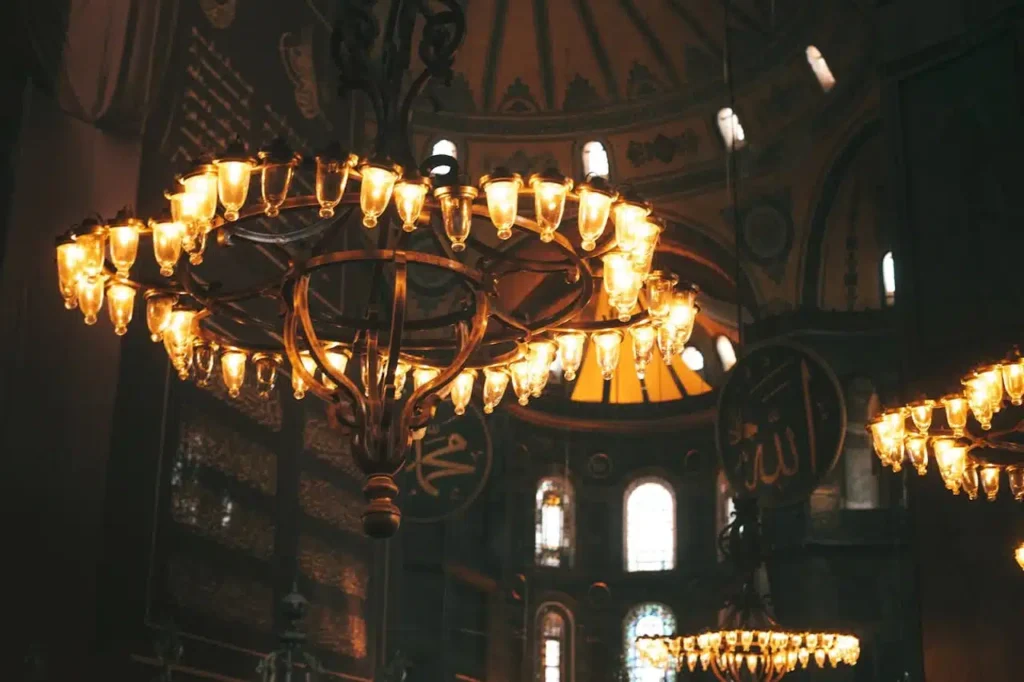 haiga sophia