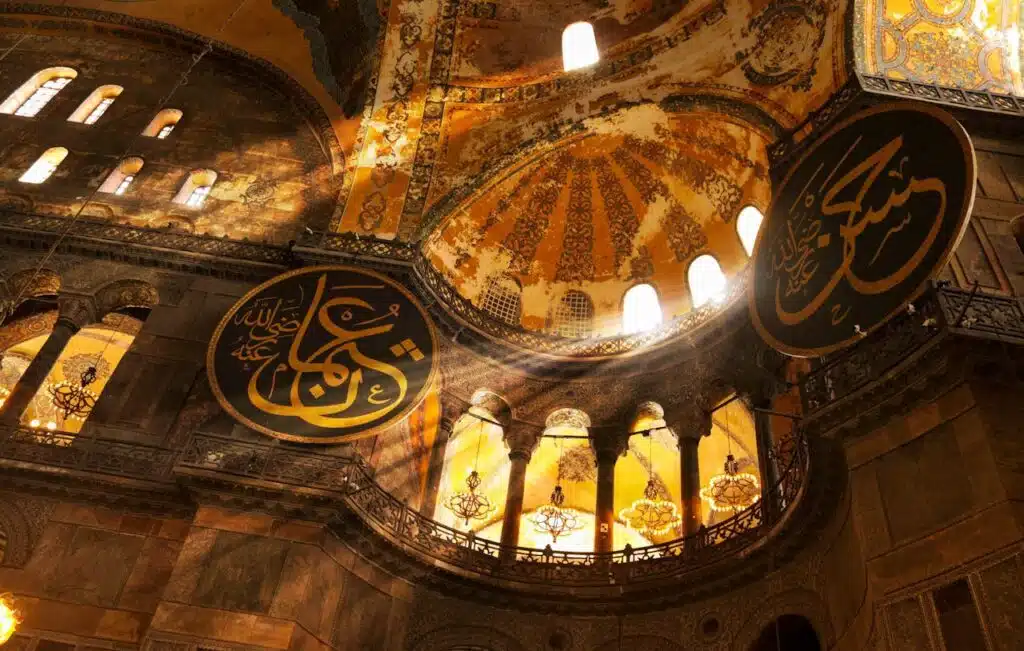 haiga sophia 2